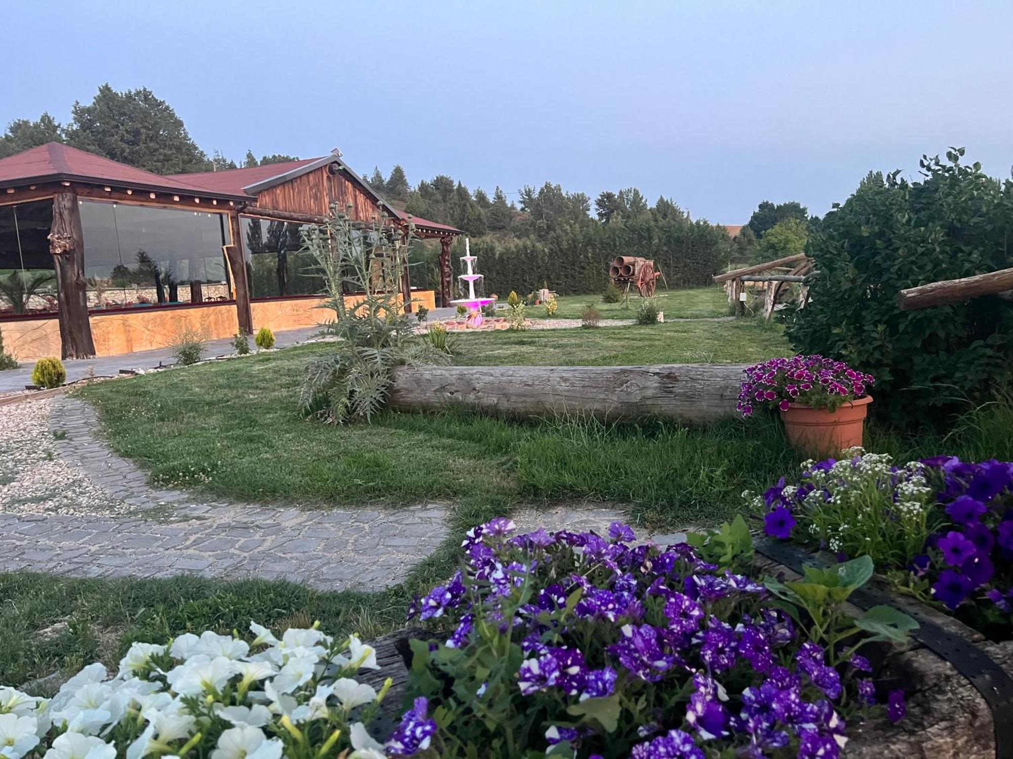 El Burgo De Osma Alojamiento Rural Villa Bagh Exteriér fotografie